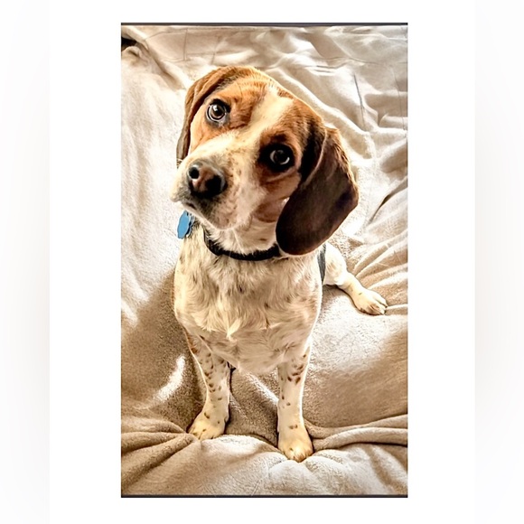 Meet your Posher, Kris - Picture 3 of 10